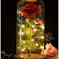 Enchanted Rose in a Glass Dome