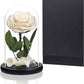 Enchanted Rose in a Glass Dome