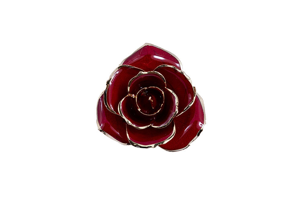 Red Single Preserved Red Rose Gift Box (12 UNITS) — Plenty Flowers