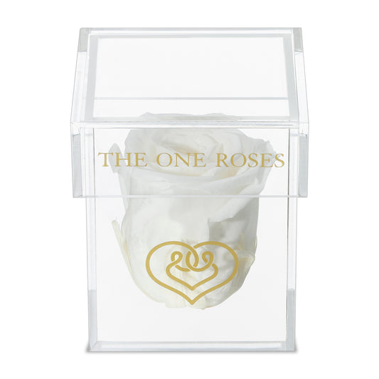 Opaque | Single Rose Box | Pearl White Rose