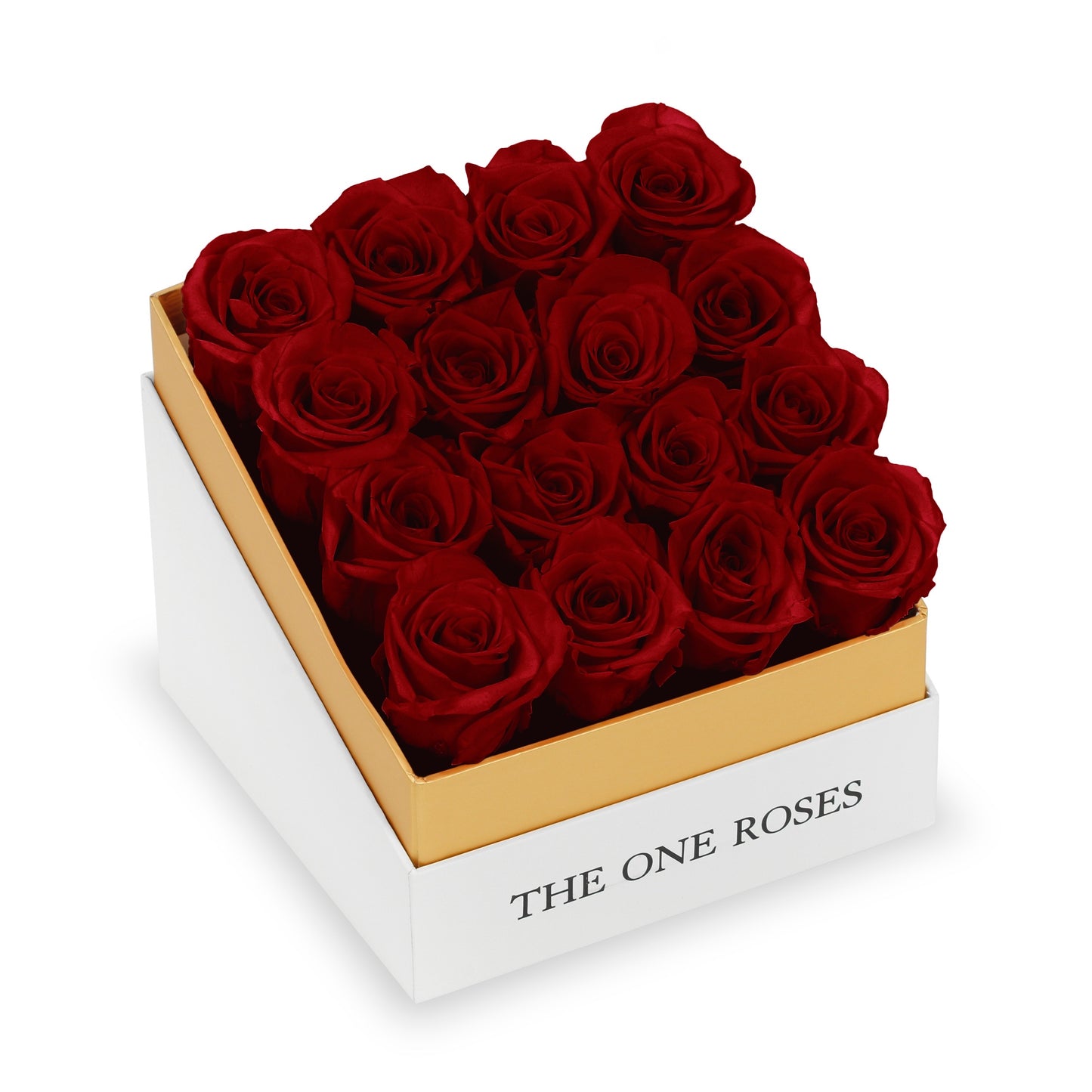 Coffee Table White Square Box - Burgundy Red Roses