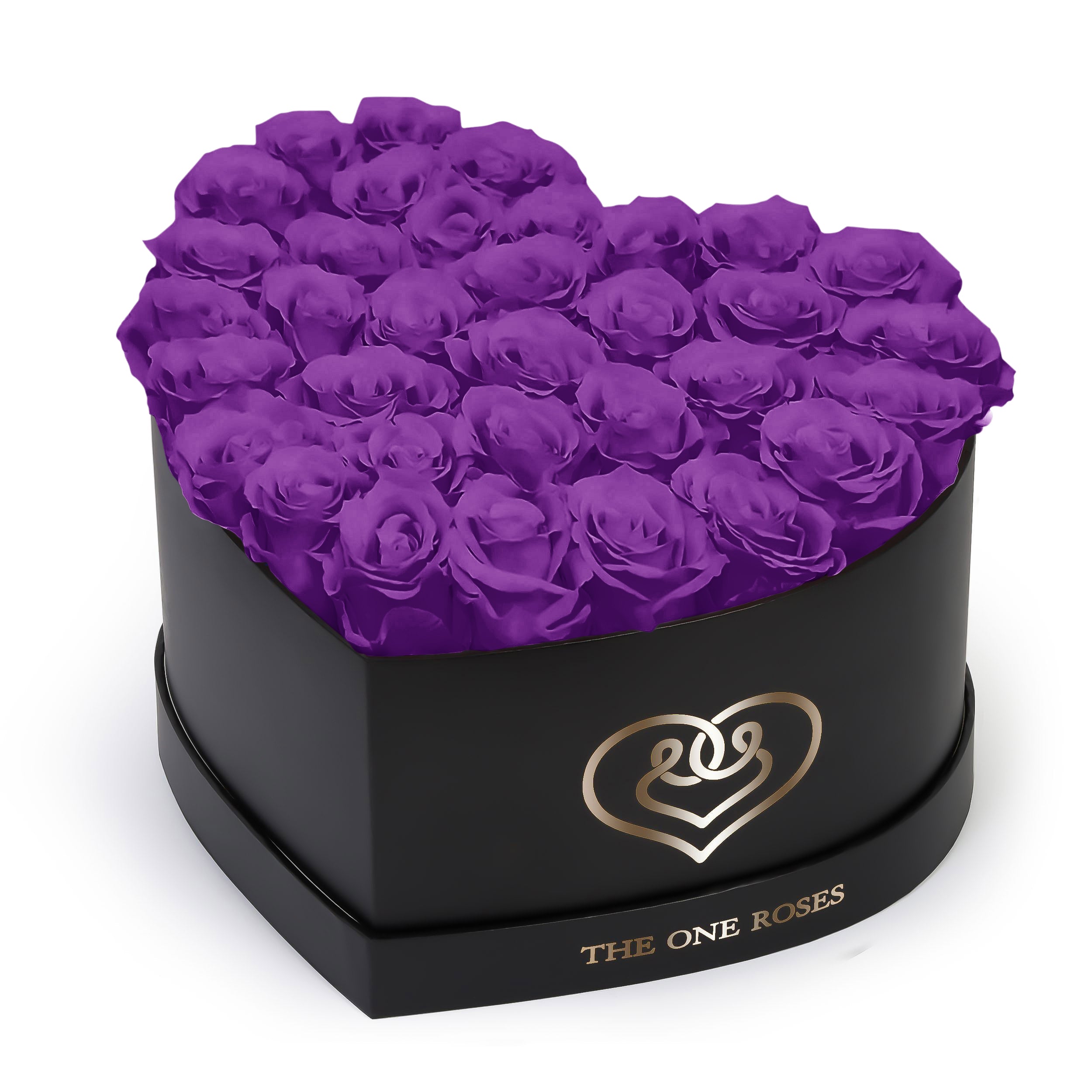 Purple Roses | Black 
