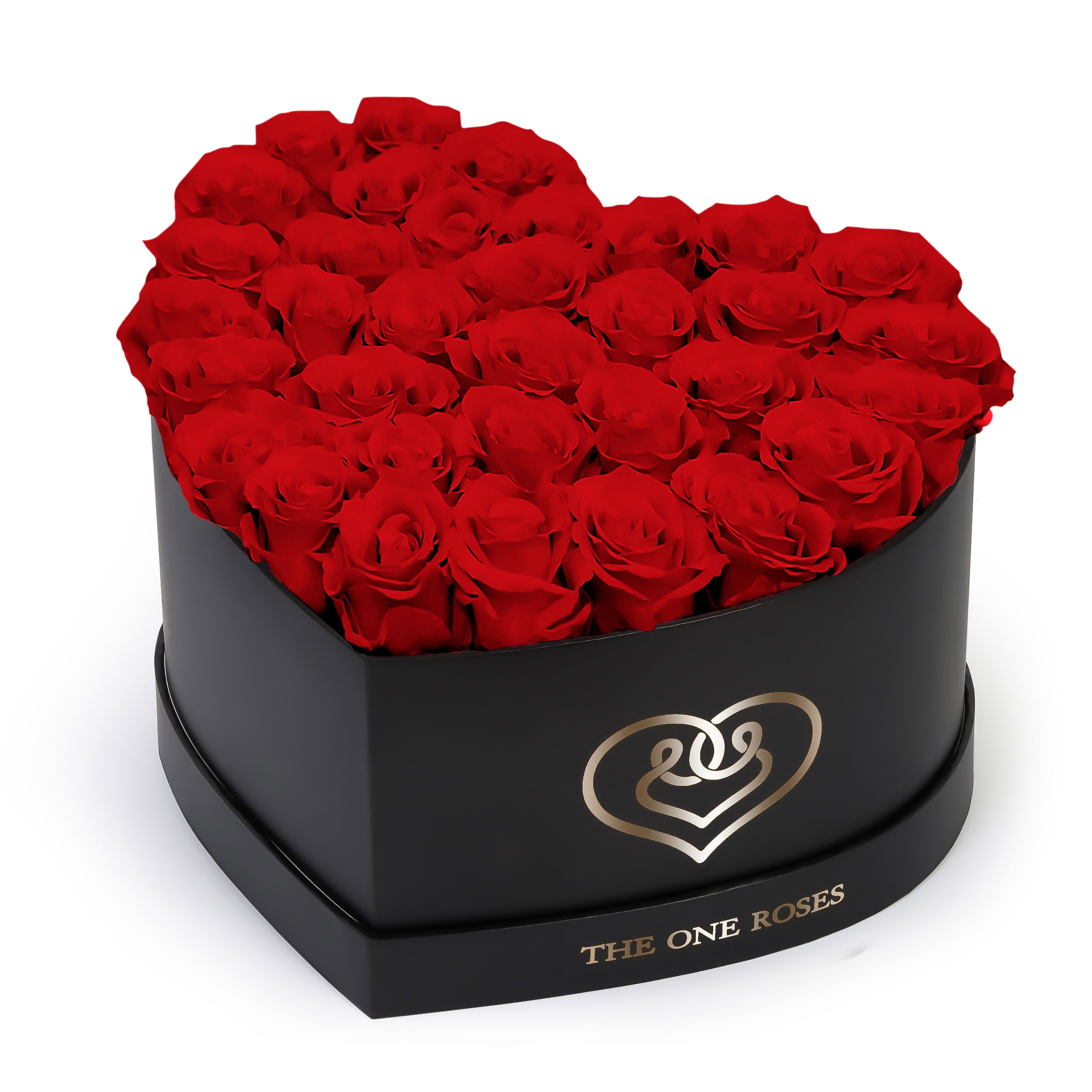 Crimson Red Roses | Black 