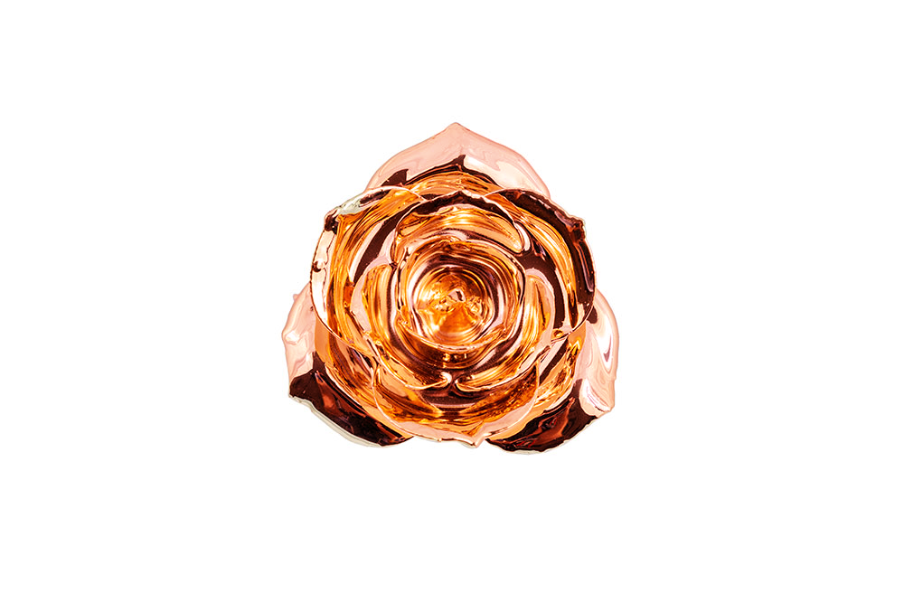 24k Gold Dipped Rose - Rose Gold