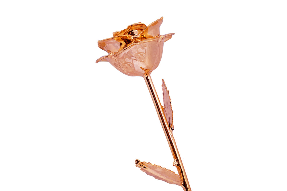 24k Gold Dipped Rose - Rose Gold