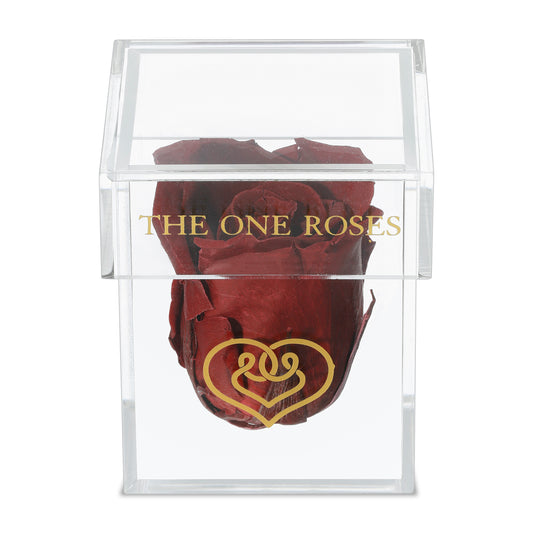 Opaque | Single Rose Box | Burgundy Red Rose