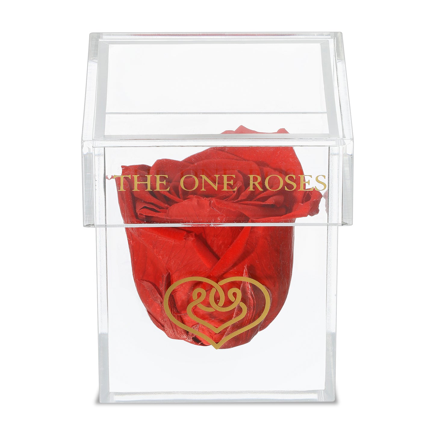 Opaque | Single Rose Box | Crimson Red Rose