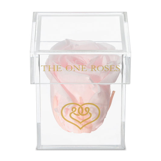 Opaque | Single Rose Box | Fairy Tale Pink Rose