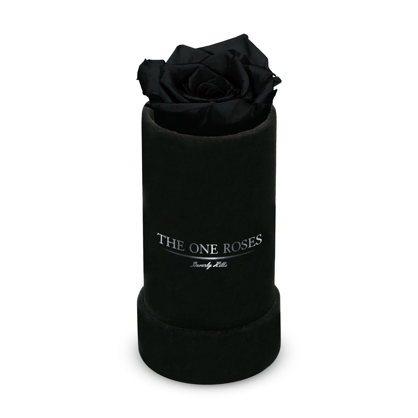 Suede Single | The One Black Box