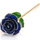 24K Gold Dipped Rose - Blue Velvet