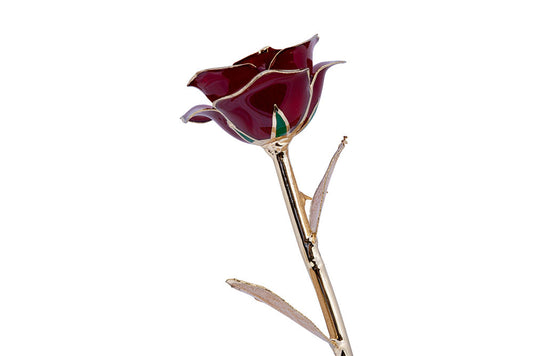 24k Gold Dipped Rose - Holiday Rose