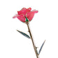 24k Gold Dipped Rose - Pink Perfection