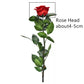 Long Stem Rose - Ruby Red